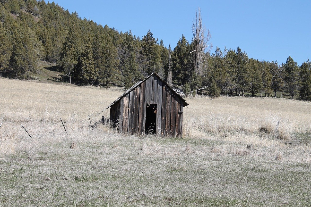 shed, shack, rustic, old, building, wooden, free photo, shack, shack, shack, shack, shack