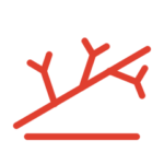 branches icon
